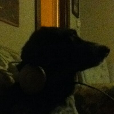 Profile Picture of Ben Meekins (@BenAugustus) on Twitter