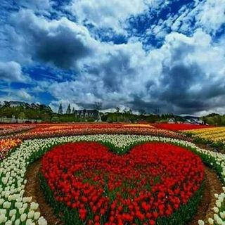 Profile Picture of Laura Sttos (@laura.sttos) on Facebook