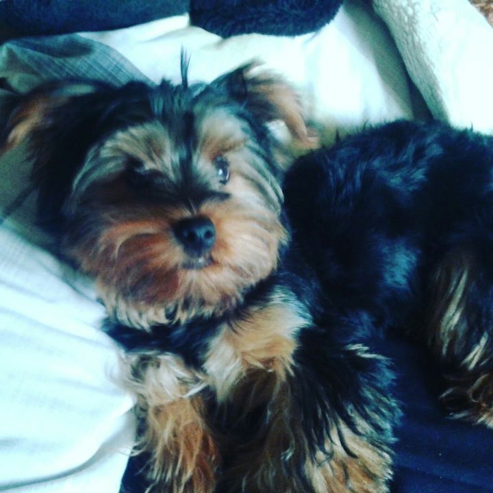 Profile Picture of David Wilczek (@davidwilczek4) on Tiktok