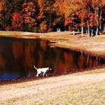 Profile Picture of Mikie Howell Clark (@mikiehowellclark) on Instagram