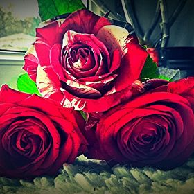 Profile Picture of Michaela Staubitz (@michaelastaubit) on Pinterest