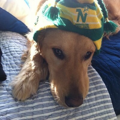 Profile Picture of Jeff Evanson (@JeffEvanson1) on Twitter