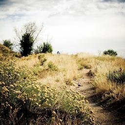 Profile Picture of Adam Littleton (@therustysube) on Twitter