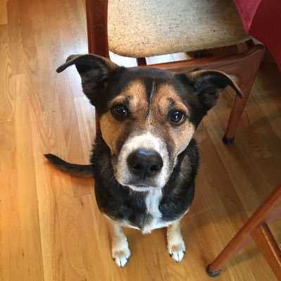 Profile Picture of Craig Severson (@CraigSeverson6) on Twitter