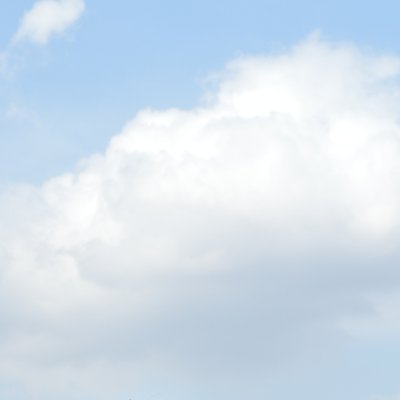 Profile Picture of Kelvin37anderson37 (@kelvin37anders1) on Twitter
