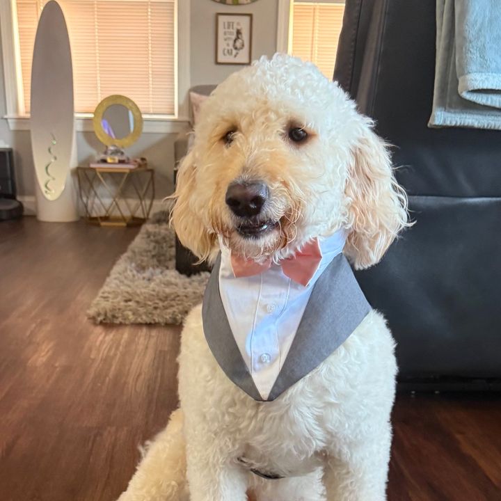 Tammy_Villatoro - Tiktok Profile Picture of Tammy_Villatoro (@tammy_villatoro) on Tiktok