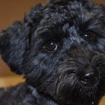 Profile Picture of Eva Matthews (@e_v_a.m.a.t.t.h.e.w.s.spam) on Instagram