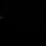 Profile Picture of Matt Bolger (@matt_bolger22) on Instagram