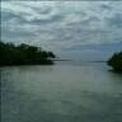 Profile Picture of RC Freeman (@rcfreeman) on Youtube