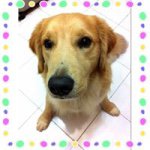 Profile Picture of Jonathan Lye (@jonathan.lye02) on Instagram