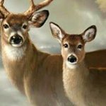 Profile Picture of Terence Thomas (@terence.thomas.102) on Instagram