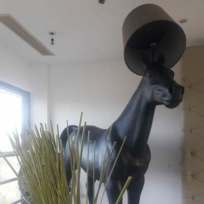 Profile Picture of Dave Raybould (@DaveRaybould1) on Twitter