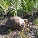 Profile Picture of Clinton moles (@clintonmoles) on Pinterest