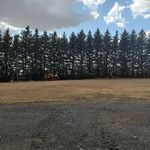 Profile Picture of Tony Scherle (@tony0_71) on Instagram