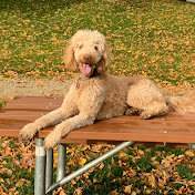 Profile Picture of Jeffrey Glenn (@jsglenn) on Youtube