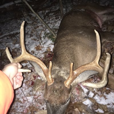 Profile Picture of Todd Wiegand (@WiegandTodd) on Twitter