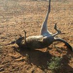 Profile Picture of Michael Tisdell (@michaeltisdell) on Instagram