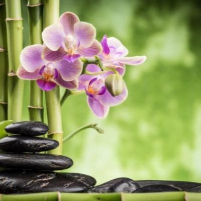 Profile Picture of Clare Ellison (@clare_ellison) on Twitter