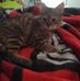 Profile Picture of Benjamin Poisson (@benjamin.poisson.927) on Facebook