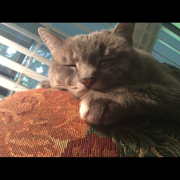 Profile Picture of Jess Shattles (@jess_shattles_) on Poshmark