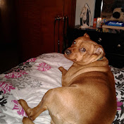 Profile Picture of Phyllis Taylor (@phyllistaylor7733) on Youtube