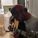 Profile Picture of Grizzly Adam Smith (@adam.g.smith.75) on Facebook