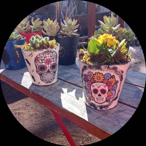 Profile Picture of Lupe flora Moreno (@lfmore21) on Poshmark