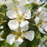 Profile Picture of Michael Schlatter (@michaelsch74) on Instagram