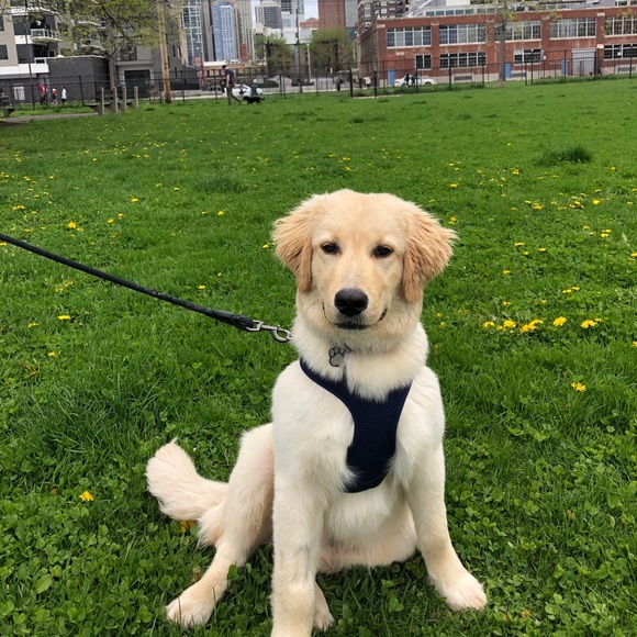 Profile Picture of Jaclyn Phillips (@jphilll) on Poshmark