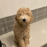 Profile Picture of Brandon Bechtel (@brandon.bechtel) on Instagram