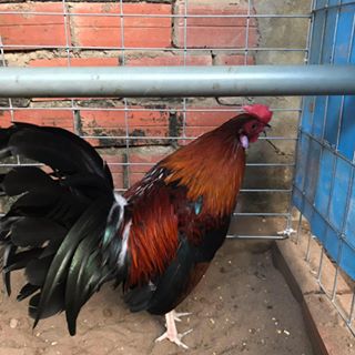 Profile Picture of Hoo Pa (@pa.hoo.5268) on Facebook