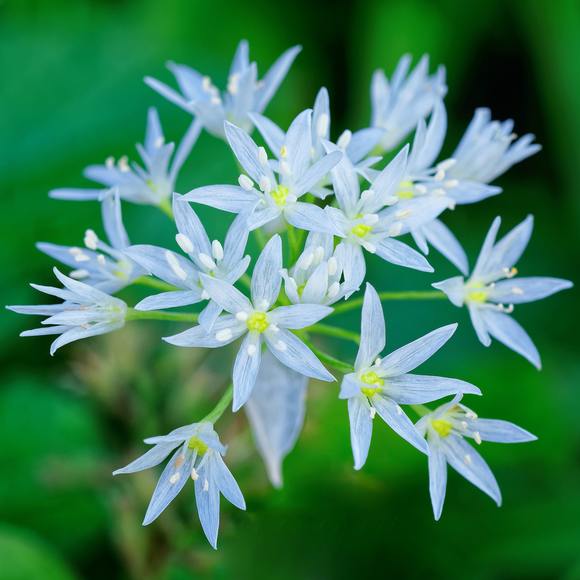 Profile Picture of Hazel Day (@hazeld9203) on Poshmark