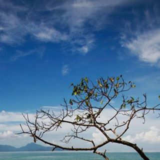 Profile Picture of Marlene Anderson (@Marlene-Anderson) on Facebook