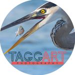 Profile Picture of Derek Taggart (@dtaggartphotography) on Instagram