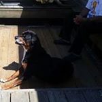 Profile Picture of Kelly Crooks (@kelly.crooks.14) on Instagram