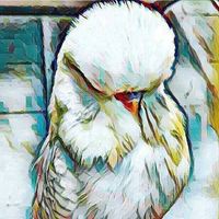 Profile Picture of David Bunney (@david-bunney-11) on Quora