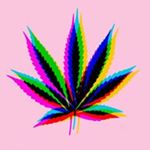 Profile Picture of Jarrett Phillips (@jarrett.phillips) on Instagram