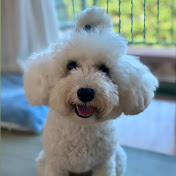 Profile Picture of Tina Hyejung Shin (@hyejung517) on Youtube