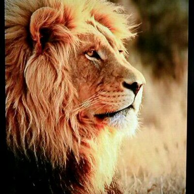 Profile Picture of Doug Pilon (@GlickHarvey) on Twitter