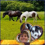 Profile Picture of Sonja Hoffmann (@sonjah_mylittle_ivy) on Instagram