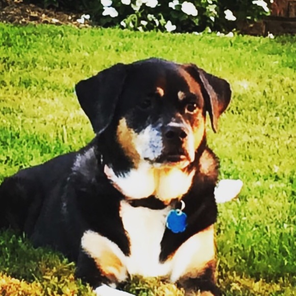 Profile Picture of A Walker (@asw1772) on Poshmark