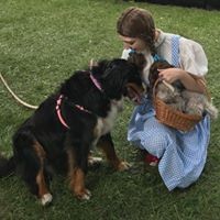 Profile Picture of Joey Tucker (@joey-tucker-14) on Quora