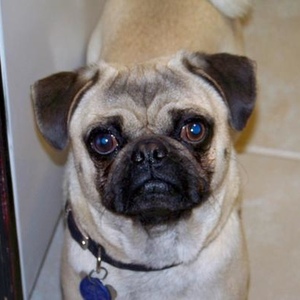 Profile Picture of Grant Duff (@140724056) on Myspace