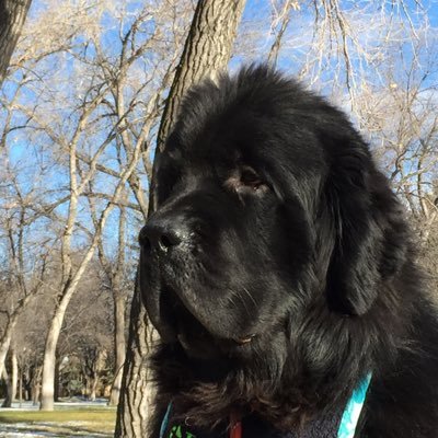 Profile Picture of Gary Haynes (@GaryHay73293316) on Twitter