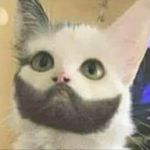 Profile Picture of Isidro Silva (@isidro.silva1) on Instagram