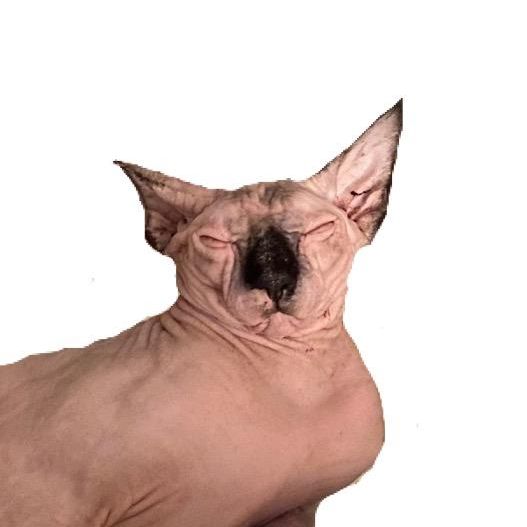 Profile Picture of Eileen (@eileenmarine) on Tiktok