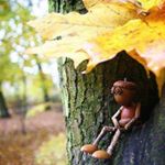 Profile Picture of Mickey Saunders Shepherd (@saundersshepherd) on Instagram