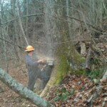 Profile Picture of Trevor Saville (@t_saville) on Instagram