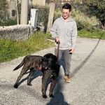 Profile Picture of Michele Cherubini (@mich1700__) on Instagram