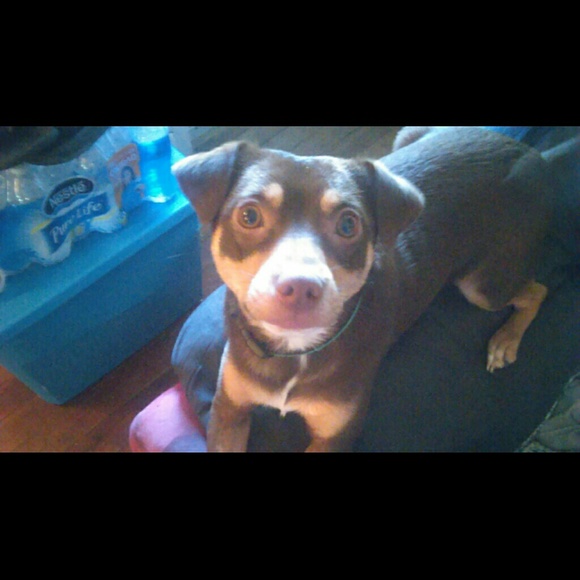 Profile Picture of Joelissa Pishko (@joelissalee) on Poshmark